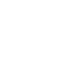 dansk industri