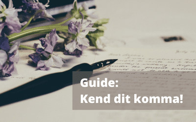 Guide: Kend dit komma!