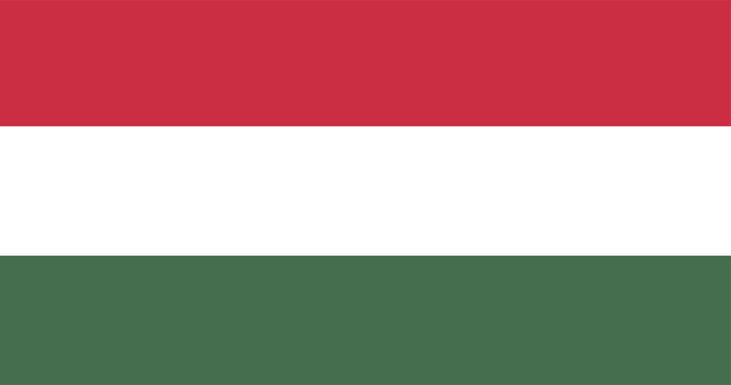 Illustration of Hungary flag